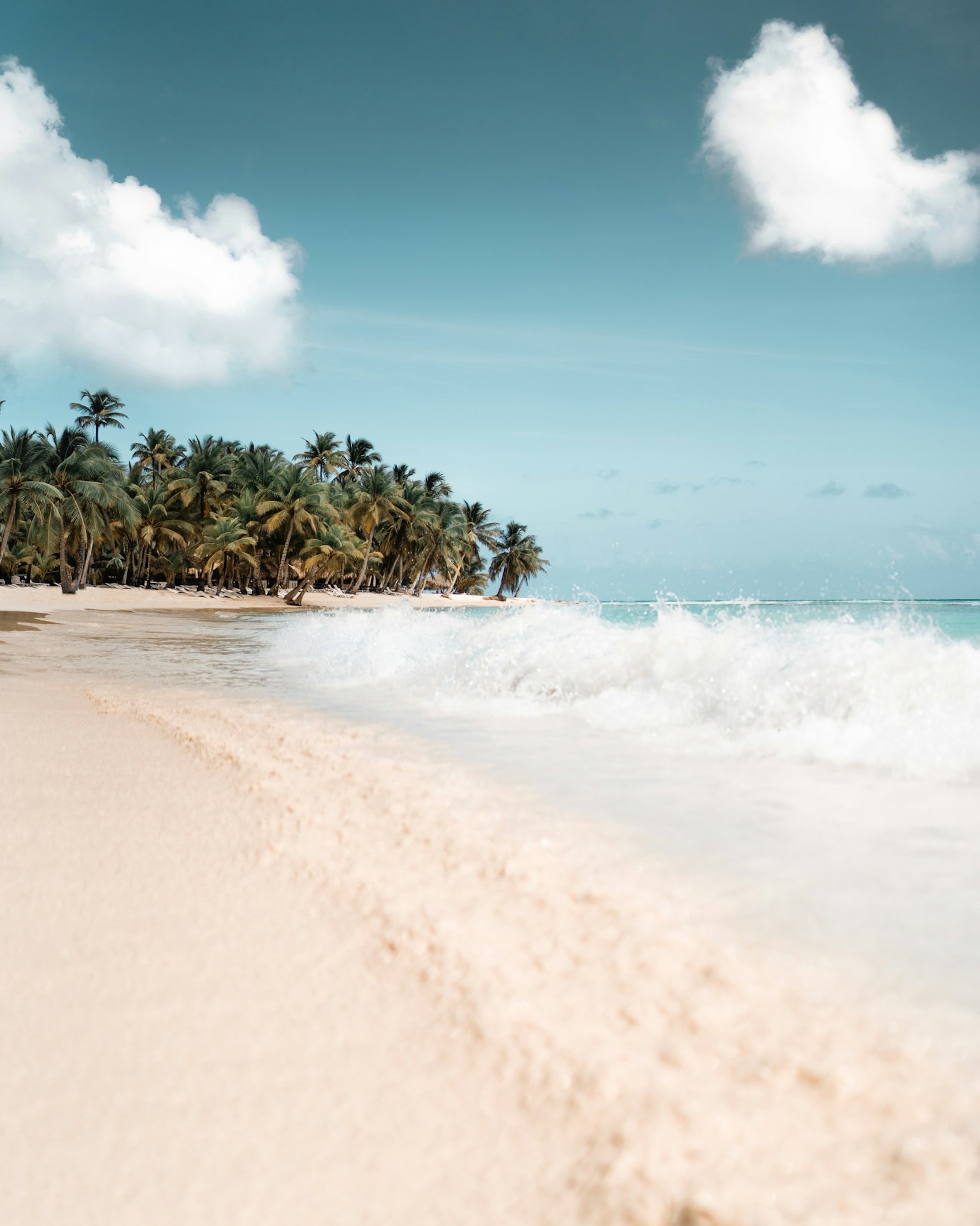 Un día en la vida de un municipio dominicano