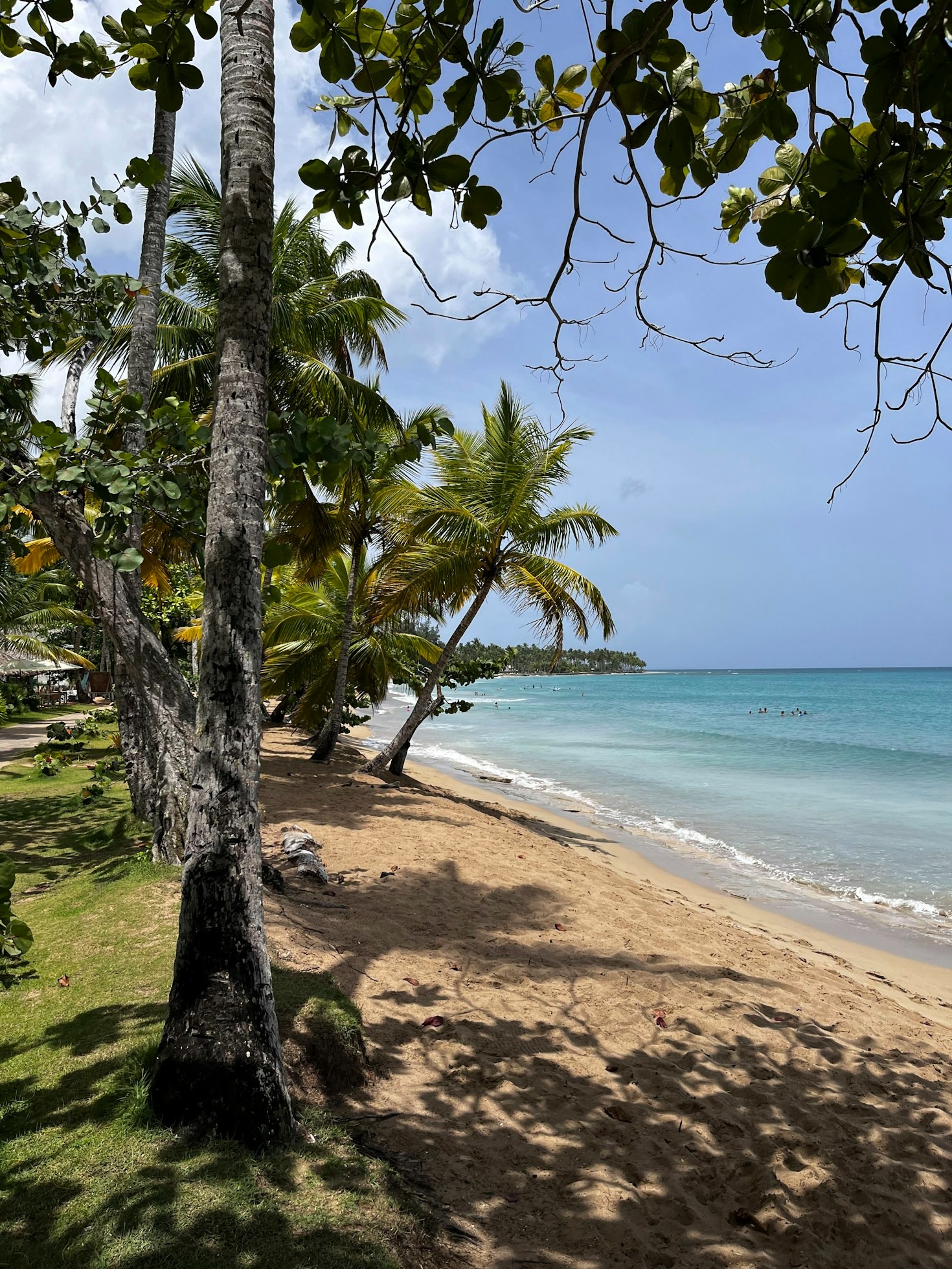 Explorando la diversidad dominicana desde casa