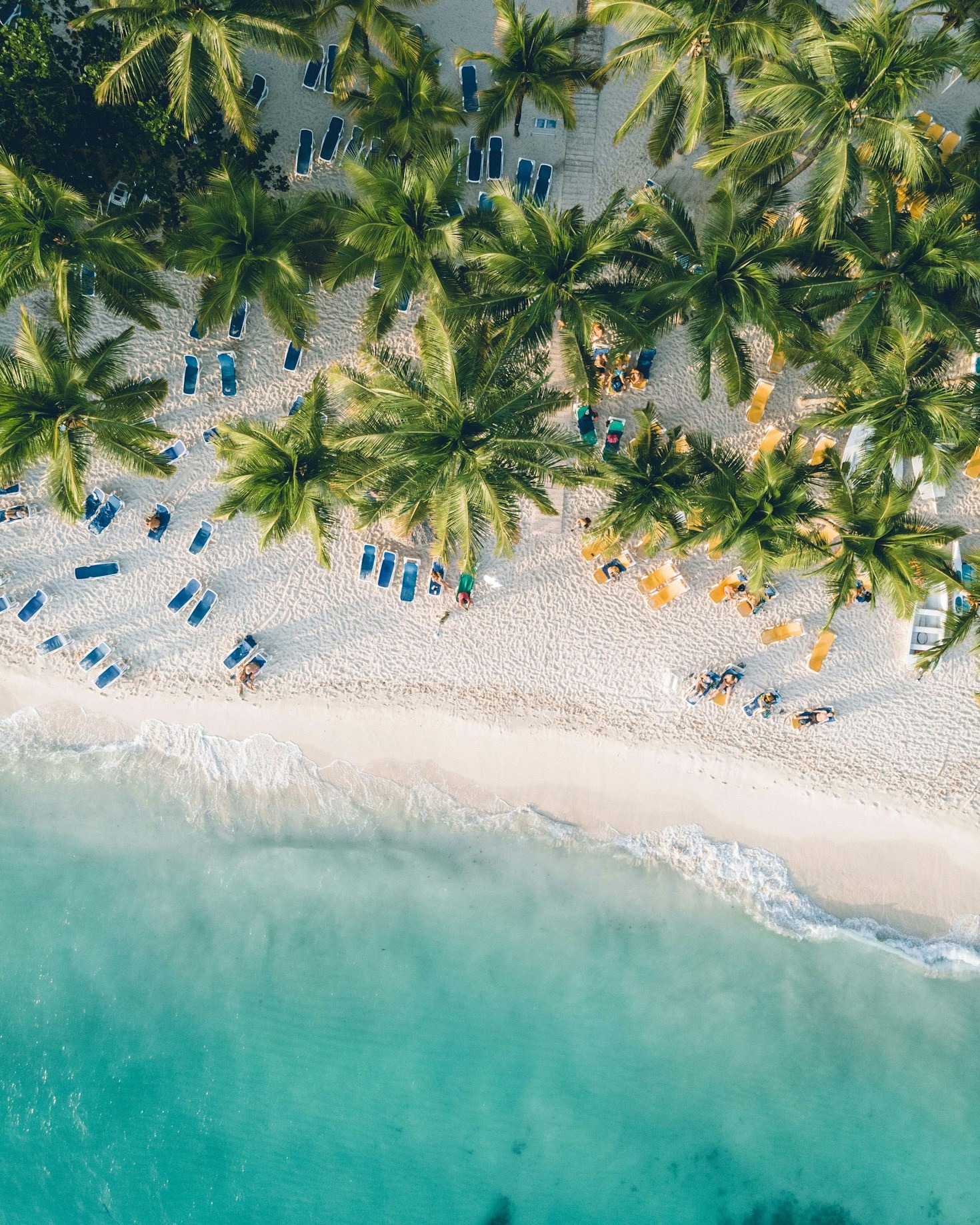 Historias que inspiran: comunidades de la República Dominicana